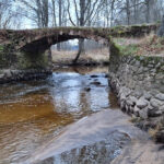 Мост через реку Куя Куя_мост01